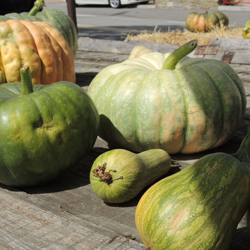 Foire aux courges à l’Epine