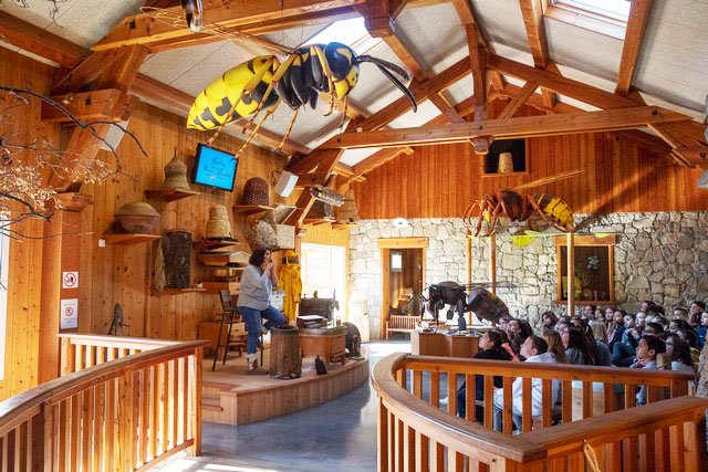 Apiland Le Petit Oiseau