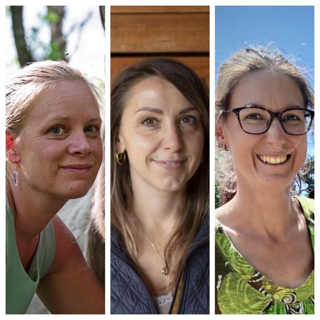 Biocoop l’Epine Vinette & Chez Puy : les actualités du moment !